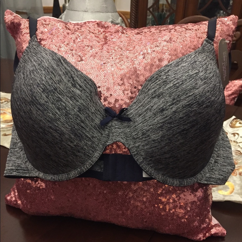 💙💙Gray/Blue NWT T-Shirt Bra💙💙